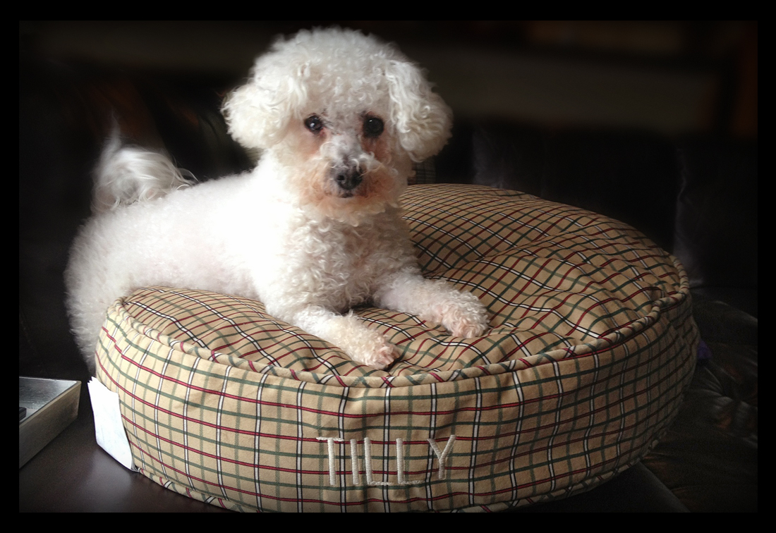 GD_PM_Art_Avanquest_07_after