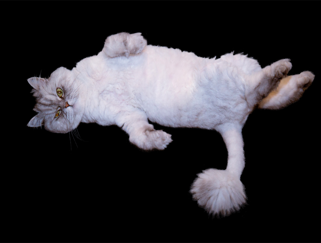 GD_PM_Art_Avanquest_12_after